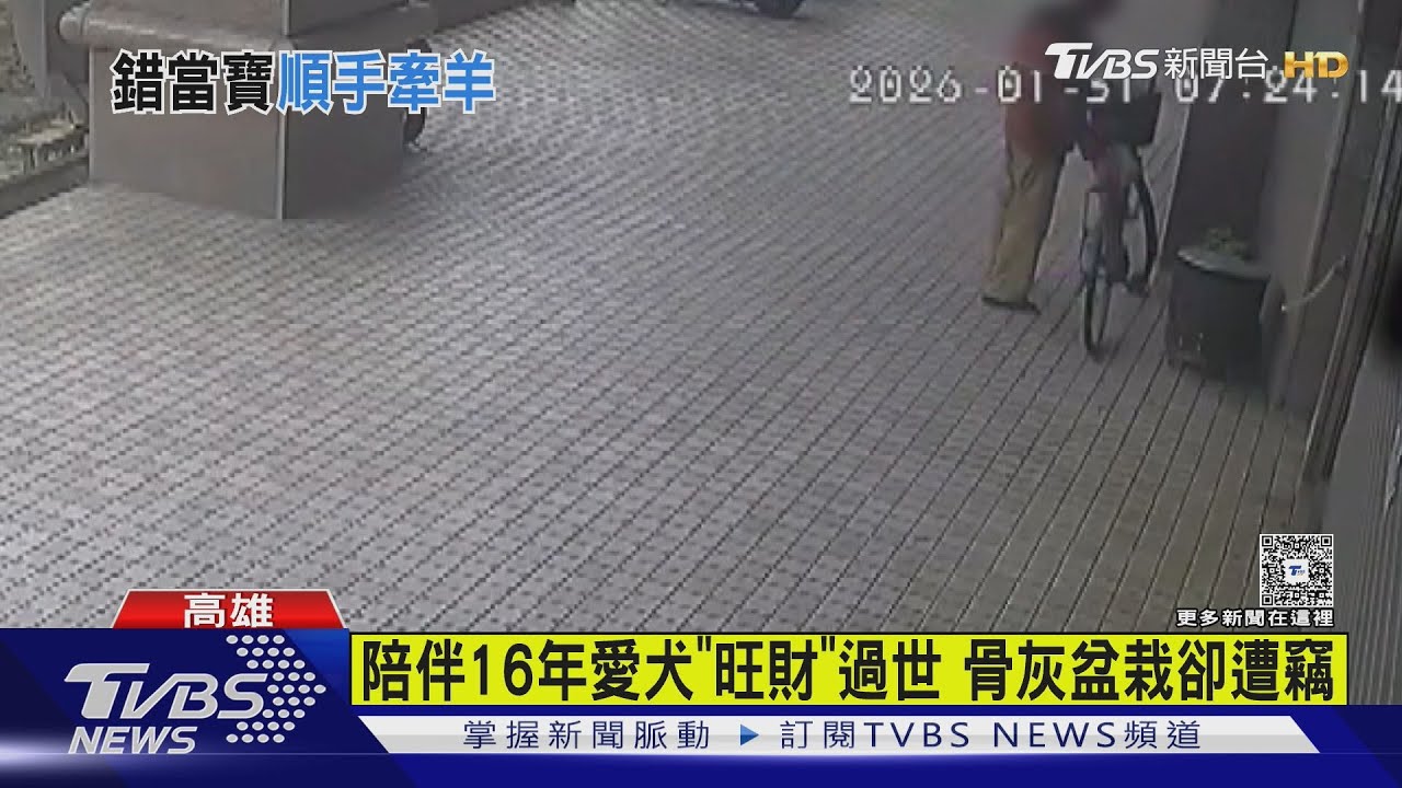 8旬翁順手偷盆栽!裡面竟是愛犬骨灰 飼主急壞:陪伴16年