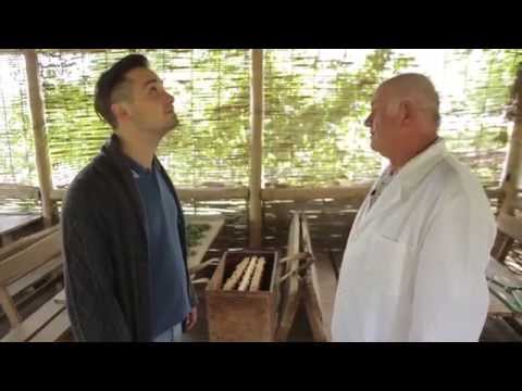 Comorile Țării @ Țipova (2015)