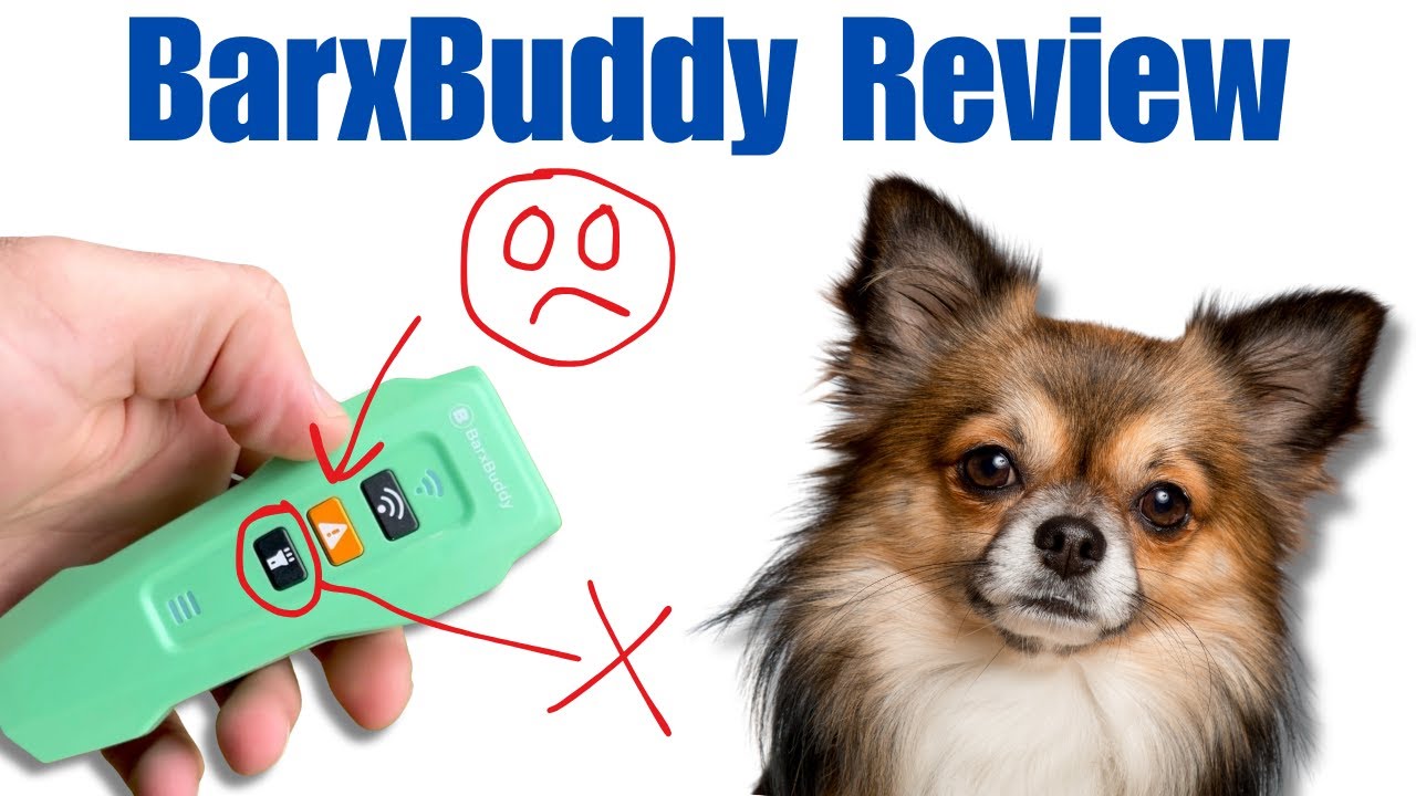 BarxBuddy Review [Updated] - Pros & Cons Of The BarxBuddy Gen 2 Dog Training Device
