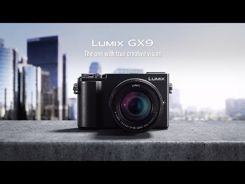 Panasonic LUMIX GX9 20.3MP Mirrorless Camera with 12-60mm f/3.5-5.6 Lens (Silver) Holiday Bundle