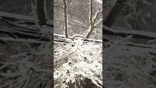 Heavy Snow Blankets Rhode Island