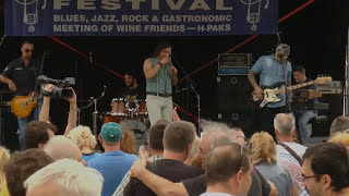 Heep Freedom (Uriah Heep Tribute) - Dreamer @ Live at Gastroblues Festival (03.07.2016.)