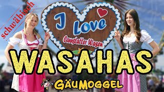 Wasahas &quot;Auf em Wasa graset d´ Hasa&quot;  - GäuMoggel (Offizielles Musikvideo)
