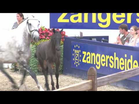 Cornets easy Z ( Cornet Obolensky - Berlin)