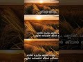 Mannu Official Malayalam Song Shorts  A Soulful Tribute To Our Land Our Roots And Our Life
