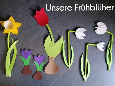 Frühblüher Klasse 1