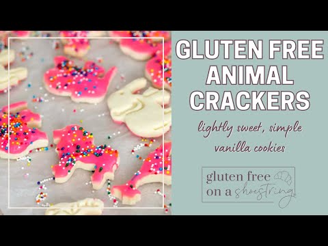 3rd YouTube video about are animal crackers gluten free