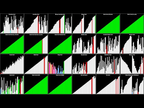 Visualization of 24 Sorting Algorithms In 2 Minutes