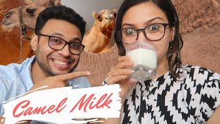 Drinking CAMEL's MILK for The First Time 🥛🐪