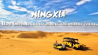 NingXia 宁夏 - desert oasis