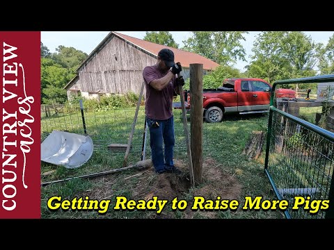 Getting ready for Feeder Pigs.  Starting project to expand Our Pig Pasture & Building a new Pig Pen