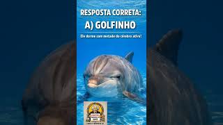 Você sabia disso sobre os golfinhos? 😱🐬 #shorts #golfinho #coruja #tubarao