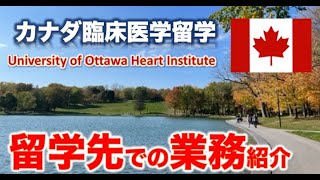 【カナダ臨床医学留学】留学先での業務内容を紹介します【University of Ottawa Heart Institute（オタワ心臓病センター）】