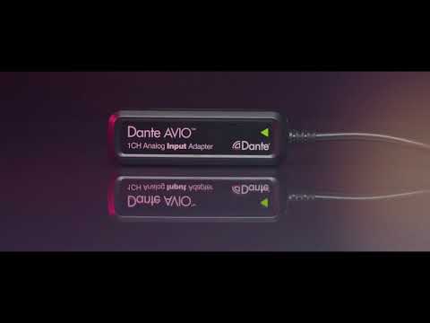 Dante AVIO Adapters