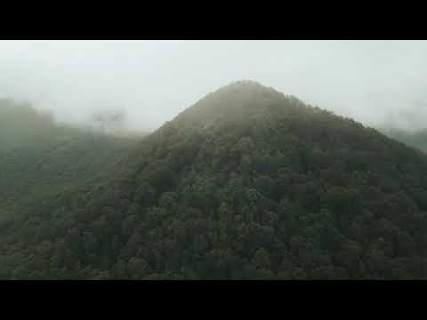 SHARP TOP IN THE RAIN