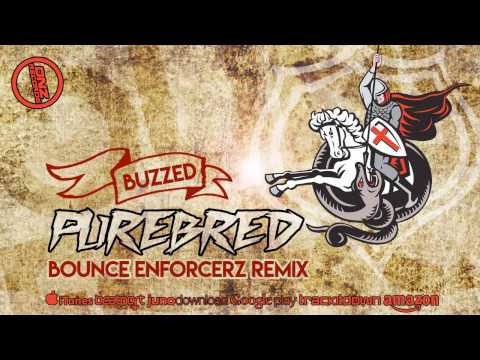 DNZF252 // BUZZED - PUREBRED BOUNCE ENFORCERZ REMIX (Official Video DNZ RECORDS)