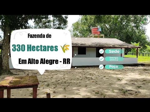 🔰Fazenda de 330 Hectares na região do Alto Alegre em Roraima aptidão para pecuária toda estruturada🌾