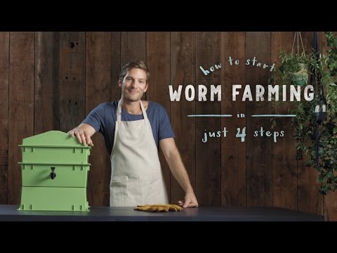 , title : 'How to start a worm farm in 4 steps: vermiculture made easy'