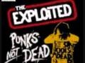 The Exploited - What You Gonna Do