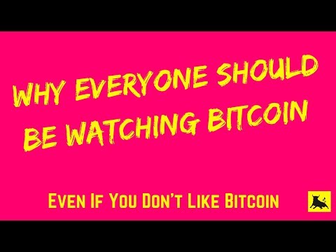 Karšto piniginė bitcoin