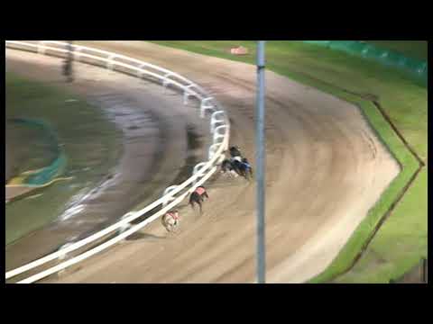 Aayamza Breeze/Goldies Hotspur - Ladbrokes 835