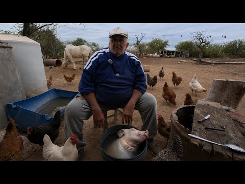 La DURA REALIDAD de VIVIR en el MEDIO del MONTE