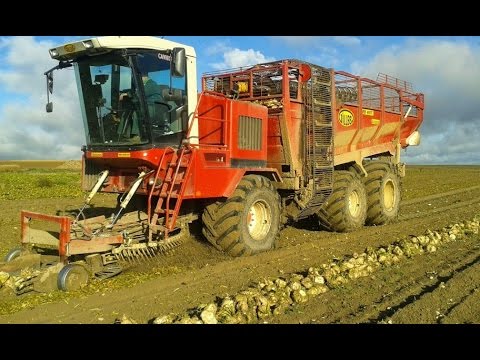 Sugar beet harvest: Gilles RB410T Automat & Fendt 718