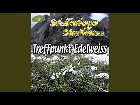 Bin a lustiger Wildschütz