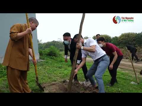 Tạp chí Tài nguyên và Môi trường trồng cây chương trình