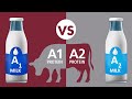 A1 vs A2 Milk