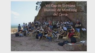 VIII Cap de Setmana Diatònic de Mont-roig del Camp