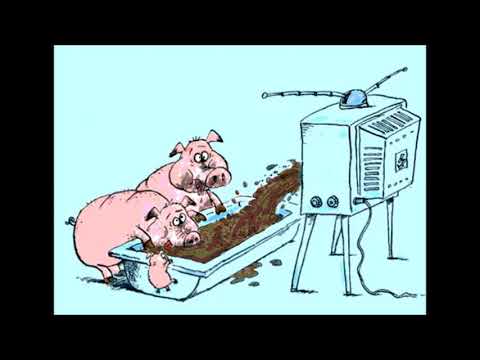 NERVAKA - SPIRAM VI NETA ( НЕТА ВА СПРЯ. "LIFE ON"! ) 2017