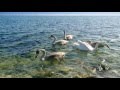 За пять минут до зимы.... 