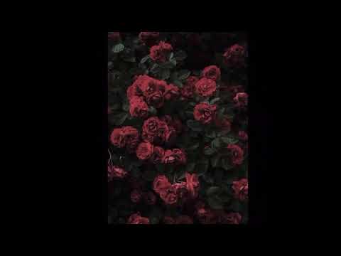 Yourboymars- Hmm ft-trilla venus (montage)