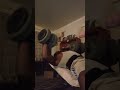 Incline Dumbbell bench Press 122 lb dumbbells 7 pause reps (PR)#shorts#viral