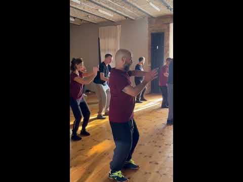 Chen Taijiquan Workshop Berlin 2025 – Video
