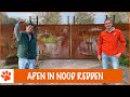 OMG een aap als huisdier?! | DierenpraatTV