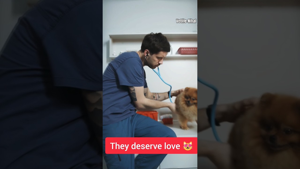 Why Veterinary? 🩺🫰👨‍🏫 #vetlifenihal #vetstudent #veterinary #vetstudy #motivation