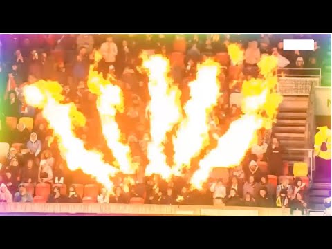 Heart of the Lioness