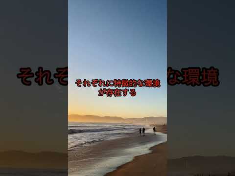 サンダーバード 128 星雲: これからは 4 つのチャンネルで