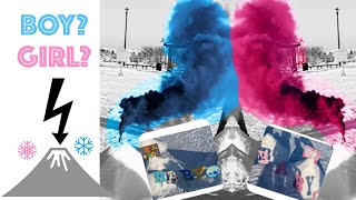 How to throw a Gender Reveal outside? | Winter Idea | Simple and Yummy
