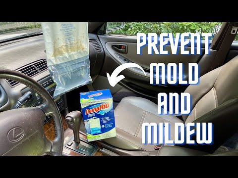 Damprid To Prevent Mold/Mildew In Stored Vehicle Interior (6 week test)