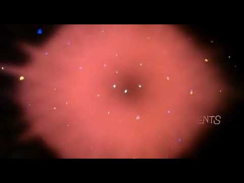 pink panther cartoon for kids episode 4