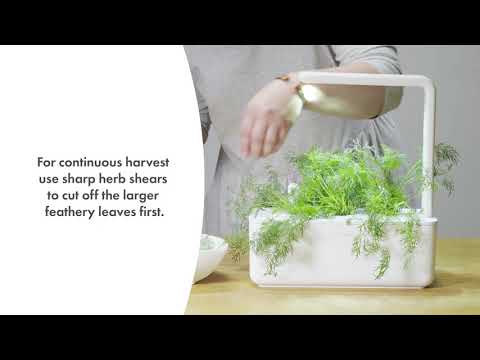 Click and Grow 3 vnt. papildymas - krapų sėklos video
