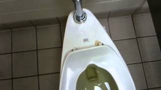preview picture of video 'American Standard Commode @ Petro Stopping Center North Baltimore, OH'