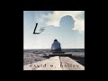 David M. Bailey - If I Had Another