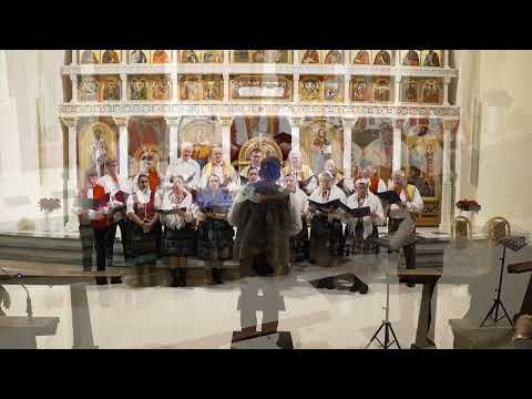 FS Barvinok z Kamienky – Jedinorodnyj Syne