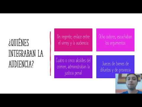 TOMi.digital REAL AUDIENCIA