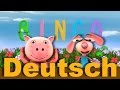 BINGO Kinderlieder LittleBabyBum