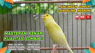Download lagu Kenari GACOR NGEREK‼️ Masteran Kenari PAUD dan Pancingan Kenari MACET BUNYI dan Betina NGIWIR -402 mp3